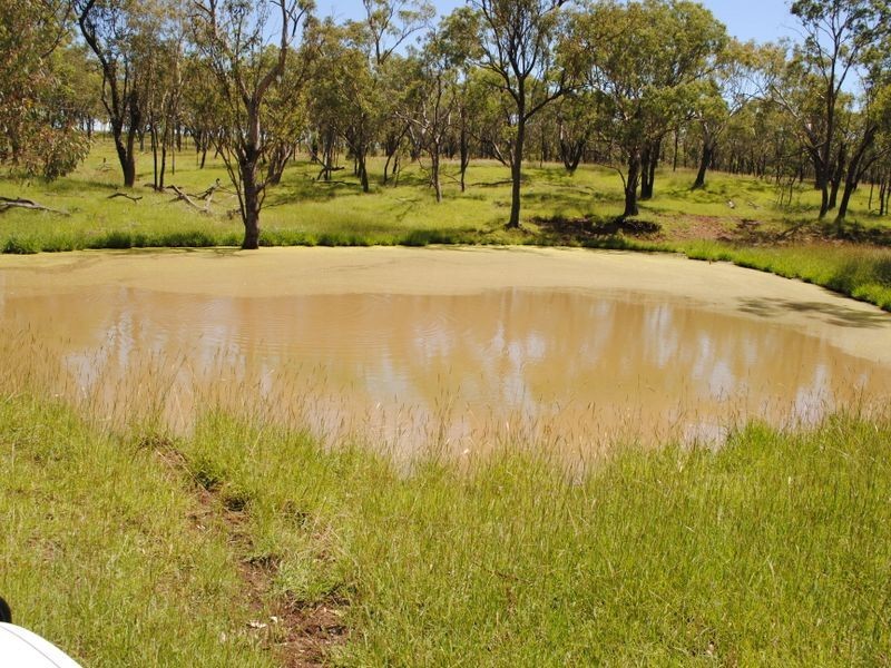 Wahroonga Forest Plain Road, Allora QLD 4362