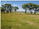 Wahroonga Forest Plain Road, Allora QLD 4362