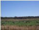 Wahroonga Forest Plain Road, Allora QLD 4362