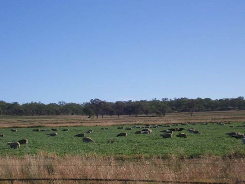 Wahroonga Forest Plain Road, Allora QLD 4362