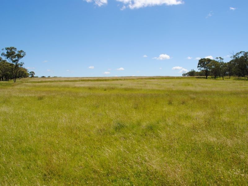 Wahroonga Forest Plain Road, Allora QLD 4362