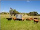 Wahroonga Forest Plain Road, Allora QLD 4362