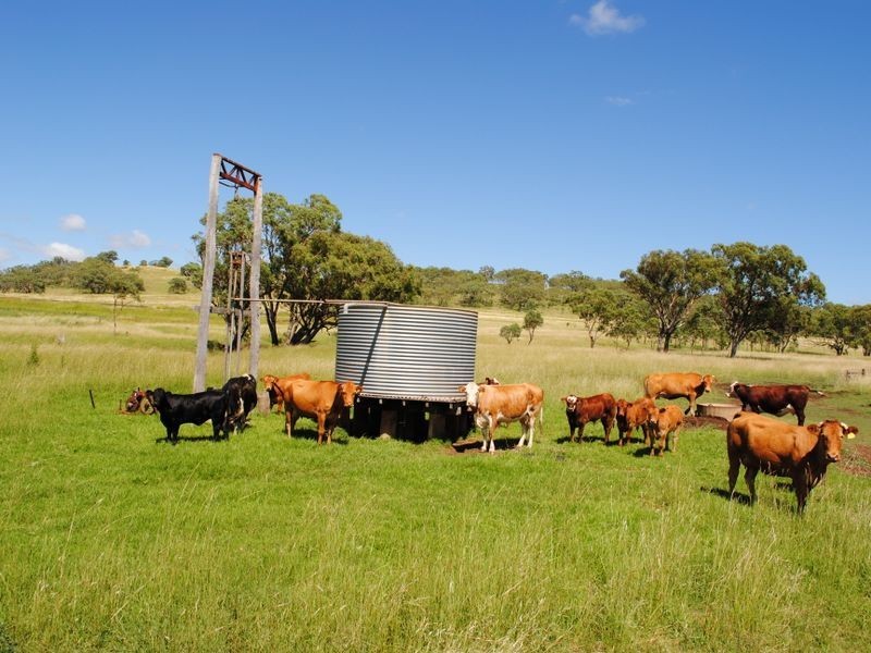 Wahroonga Forest Plain Road, Allora QLD 4362