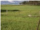 Wahroonga Forest Plain Road, Allora QLD 4362
