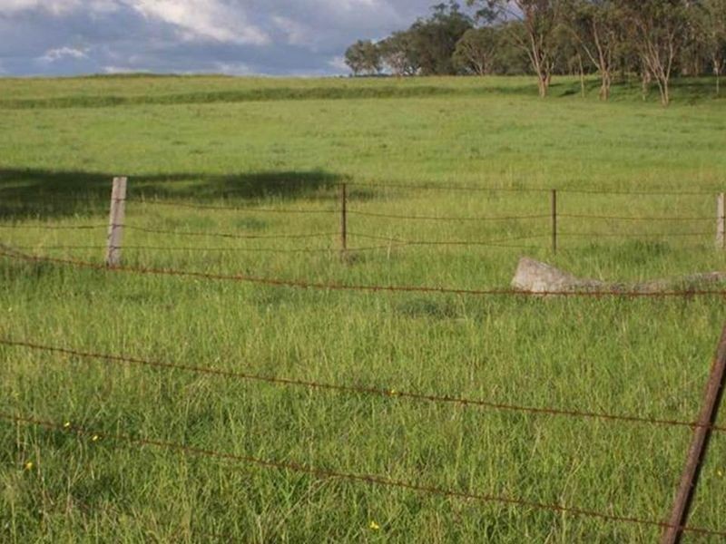 Wahroonga Forest Plain Road, Allora QLD 4362