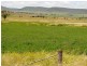 Wahroonga Forest Plain Road, Allora QLD 4362