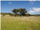 Wahroonga Forest Plain Road, Allora QLD 4362