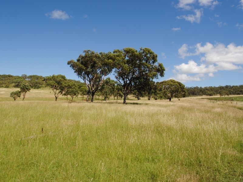 Wahroonga Forest Plain Road, Allora QLD 4362