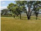 Wahroonga Forest Plain Road, Allora QLD 4362