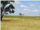 Wahroonga Forest Plain Road, Allora QLD 4362
