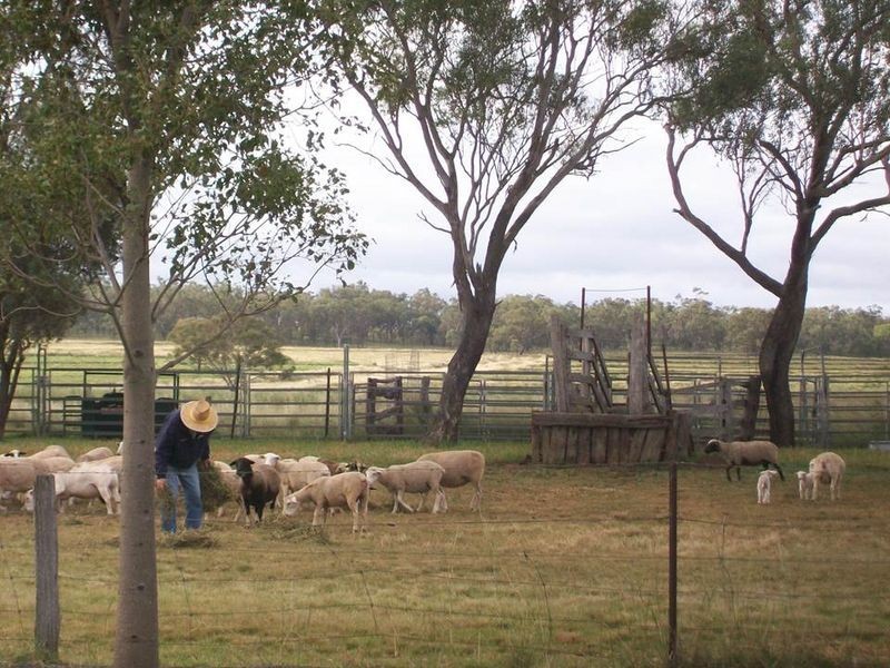 Wahroonga Forest Plain Road, Allora QLD 4362