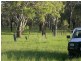 Wahroonga Forest Plain Road, Allora QLD 4362
