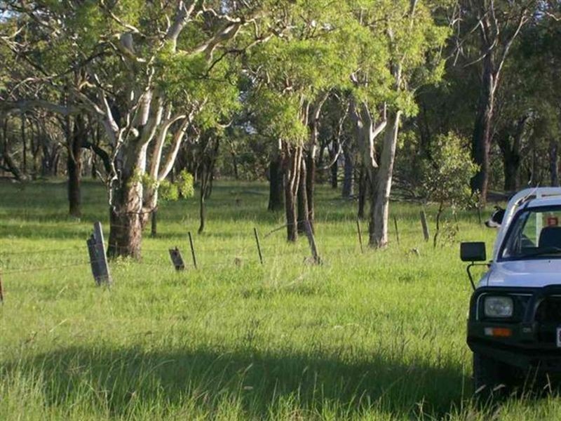 Wahroonga Forest Plain Road, Allora QLD 4362
