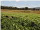 Wahroonga Forest Plain Road, Allora QLD 4362