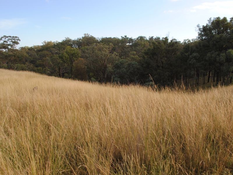 Lot 4 New England Highway, Warwick QLD 4370