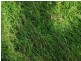 Lot 4 New England Highway, Warwick QLD 4370