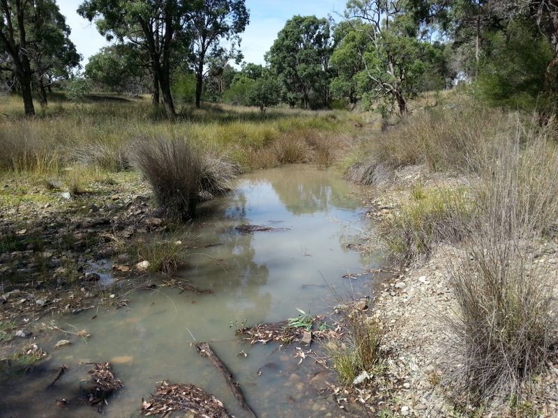 Lot 11 Springdale Road, Stanthorpe QLD 4380