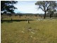 Lot 11 Springdale Road, Stanthorpe QLD 4380