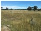 Lot 11 Springdale Road, Stanthorpe QLD 4380