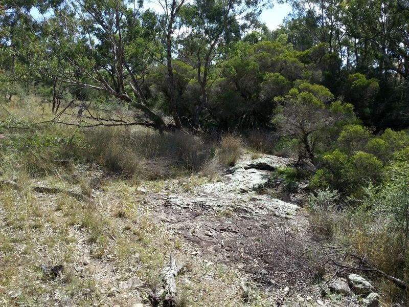 Lot 11 Springdale Road, Stanthorpe QLD 4380