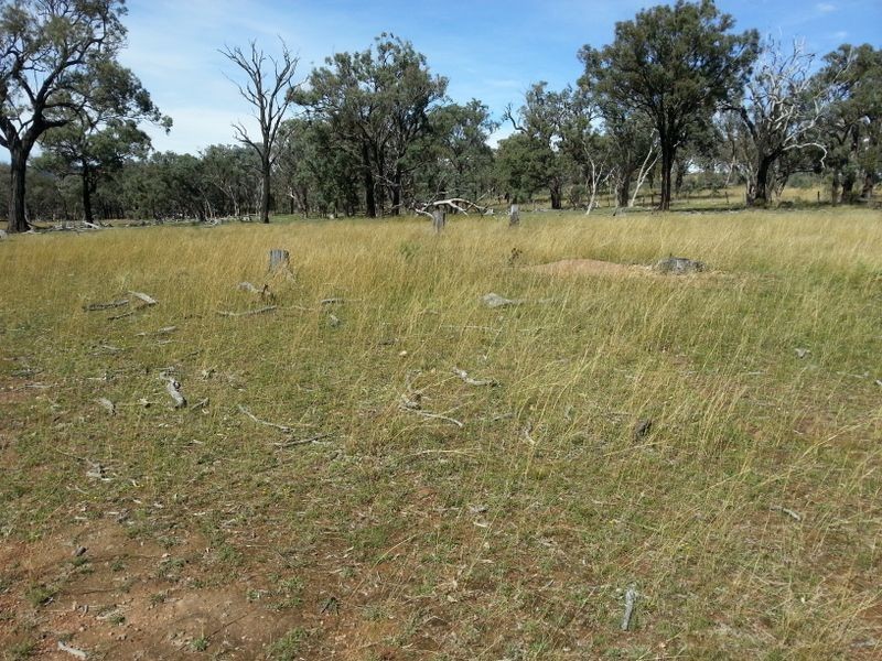 Lot 11 Springdale Road, Stanthorpe QLD 4380