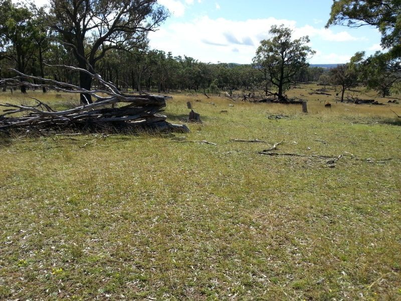 Lot 11 Springdale Road, Stanthorpe QLD 4380