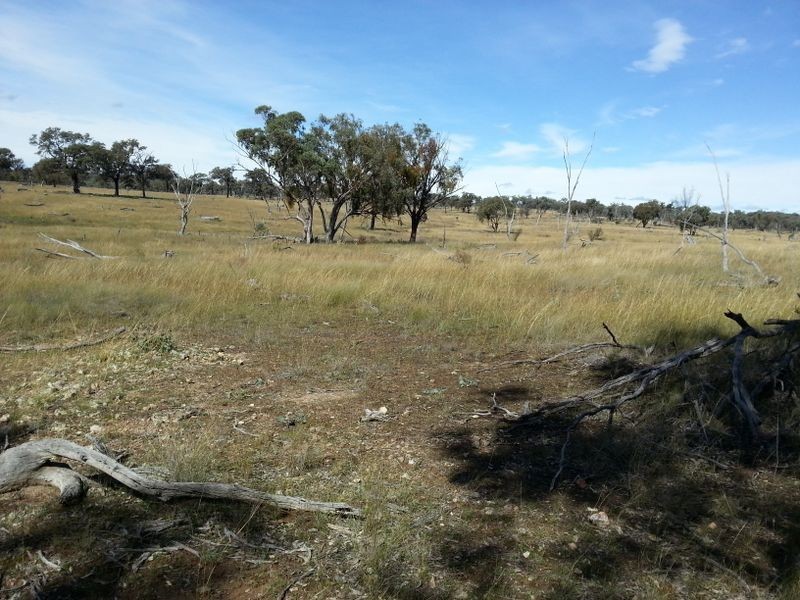 Lot 11 Springdale Road, Stanthorpe QLD 4380