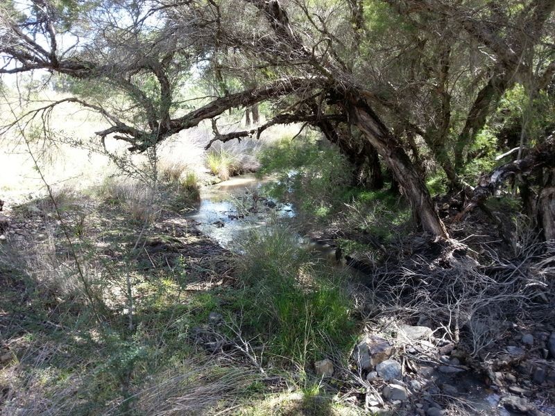 Lot 11 Springdale Road, Stanthorpe QLD 4380