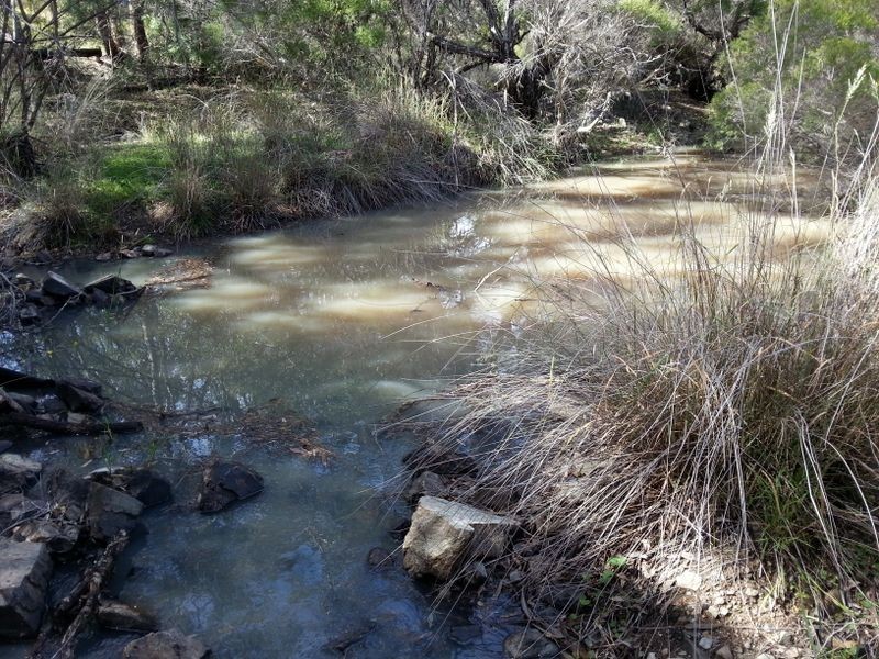 Lot 11 Springdale Road, Stanthorpe QLD 4380