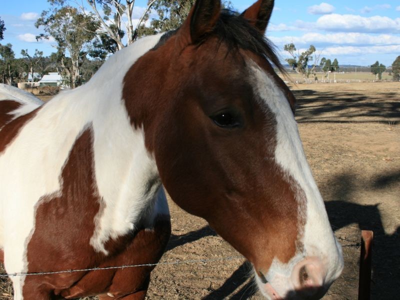 20 White Street, Pratten QLD 4370