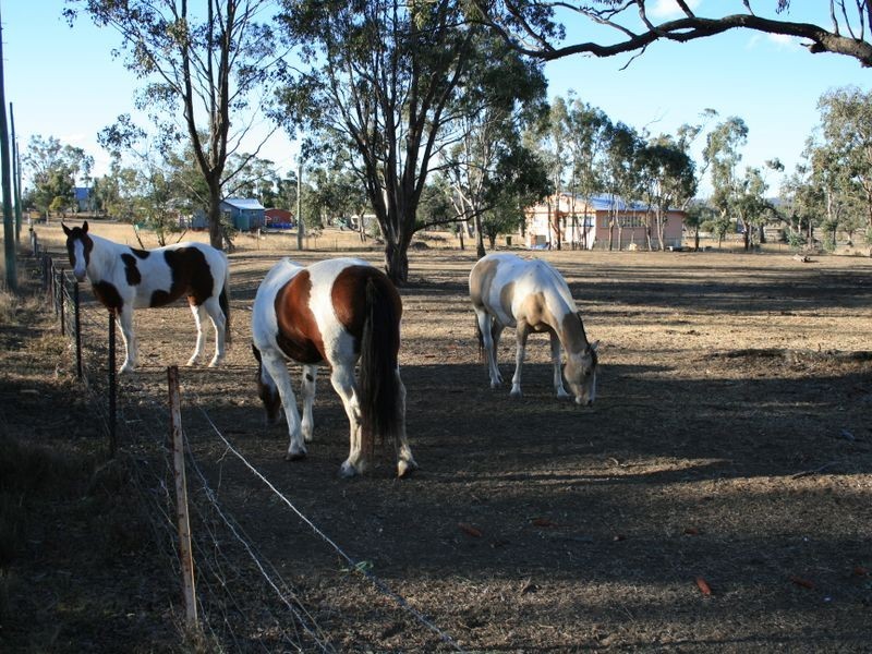 20 White Street, Pratten QLD 4370