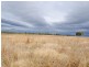 148 Shannons Road, Allora QLD 4362