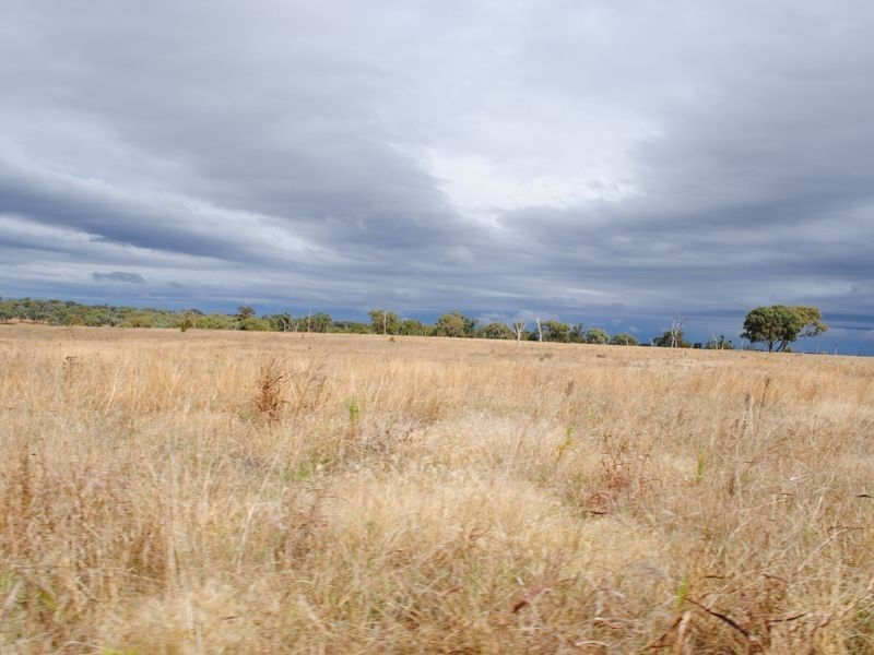 148 Shannons Road, Allora QLD 4362