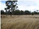 Proposed L Back Creek Road, Karara QLD 4352