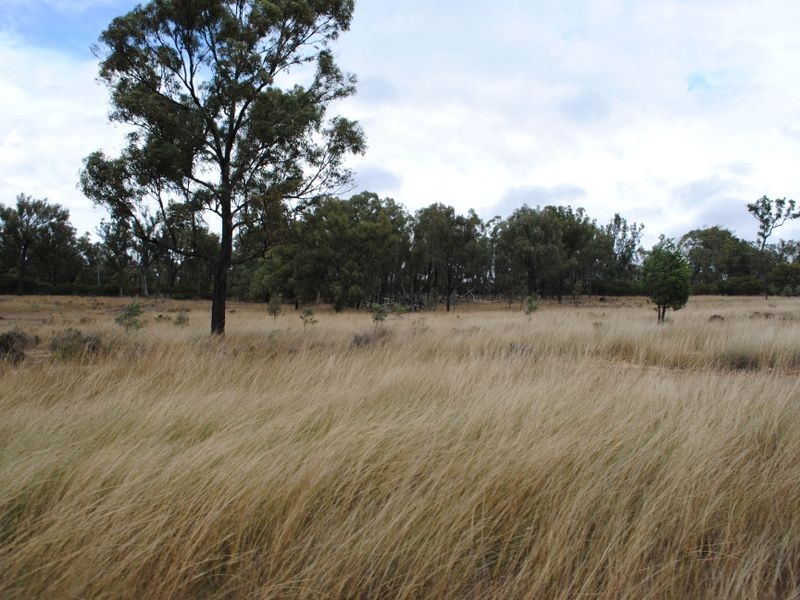 Proposed L Back Creek Road, Karara QLD 4352