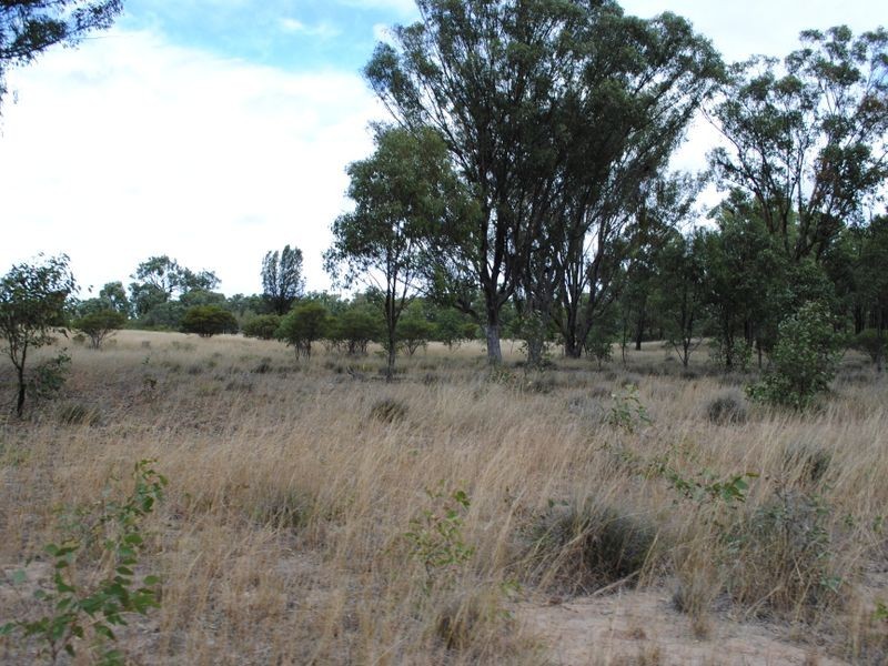 Proposed L Back Creek Road, Karara QLD 4352