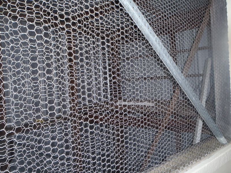 30 Yarrawonga Street, Warwick QLD 4370