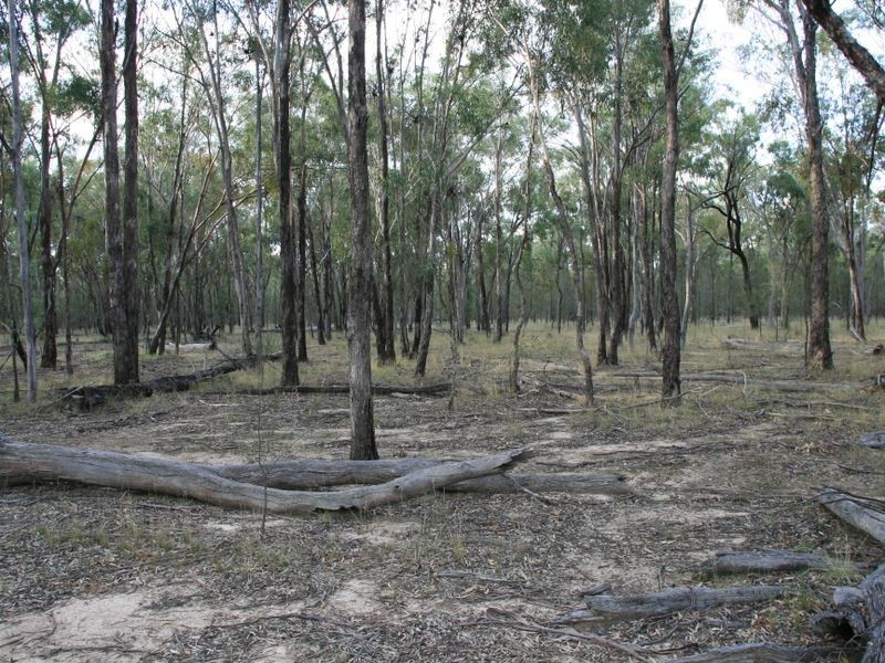 Lot 57 Stonhenge Road, Kooroongarra QLD 4357