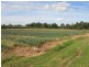 Stanthorpe QLD 4380