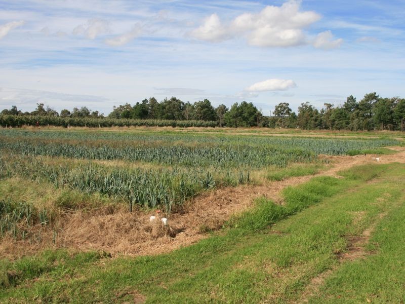Stanthorpe QLD 4380