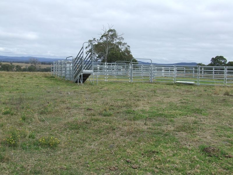 Hillside New Koreelah Road, Legume NSW 2476