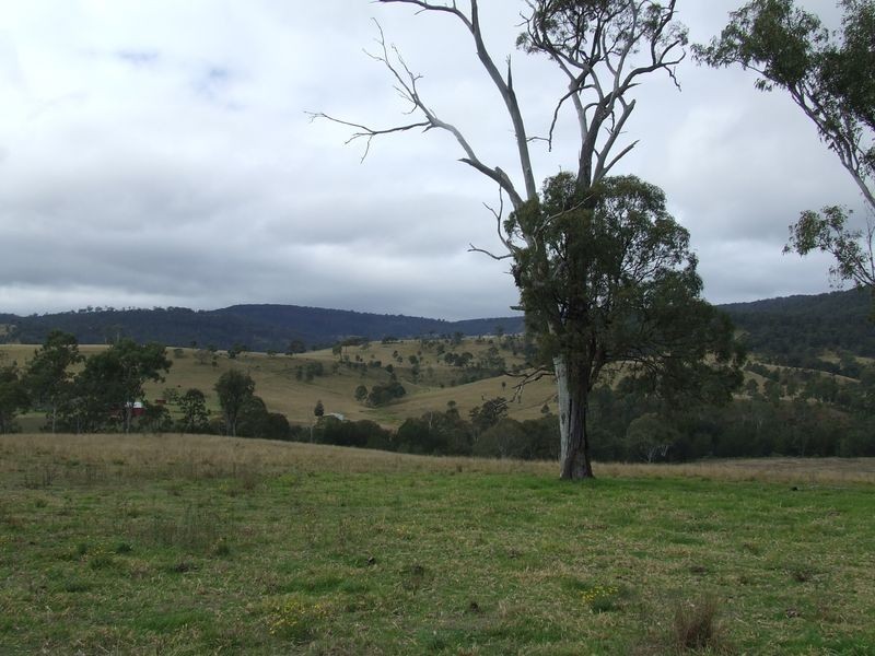 Hillside New Koreelah Road, Legume NSW 2476