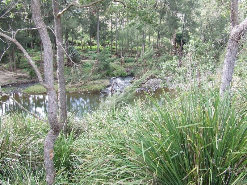 Hillside New Koreelah Road, Legume NSW 2476