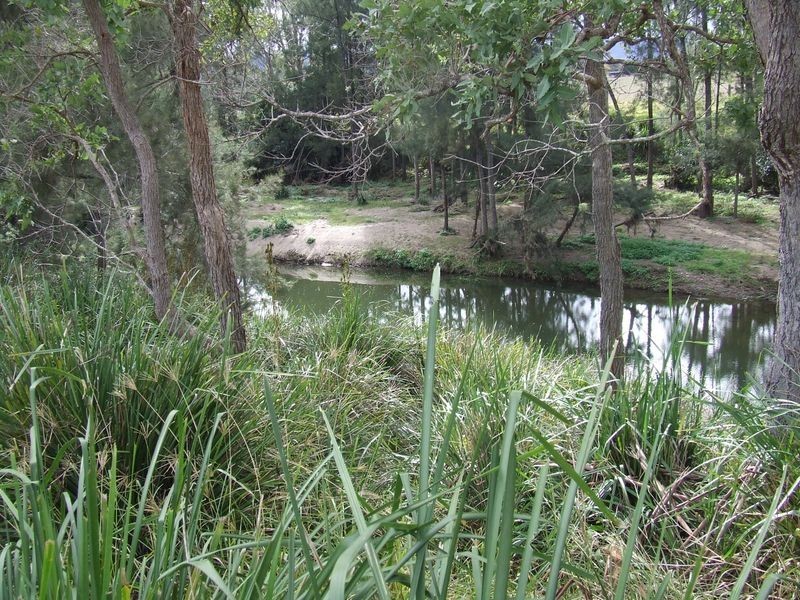 Hillside New Koreelah Road, Legume NSW 2476