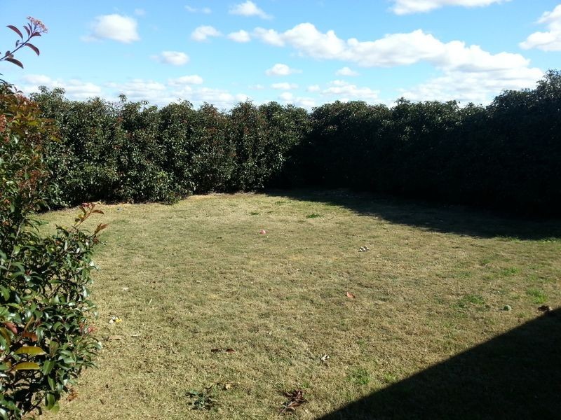 1/5 Hans Borgar, Warwick QLD 4370