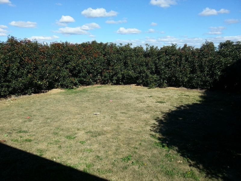 1/5 Hans Borgar, Warwick QLD 4370