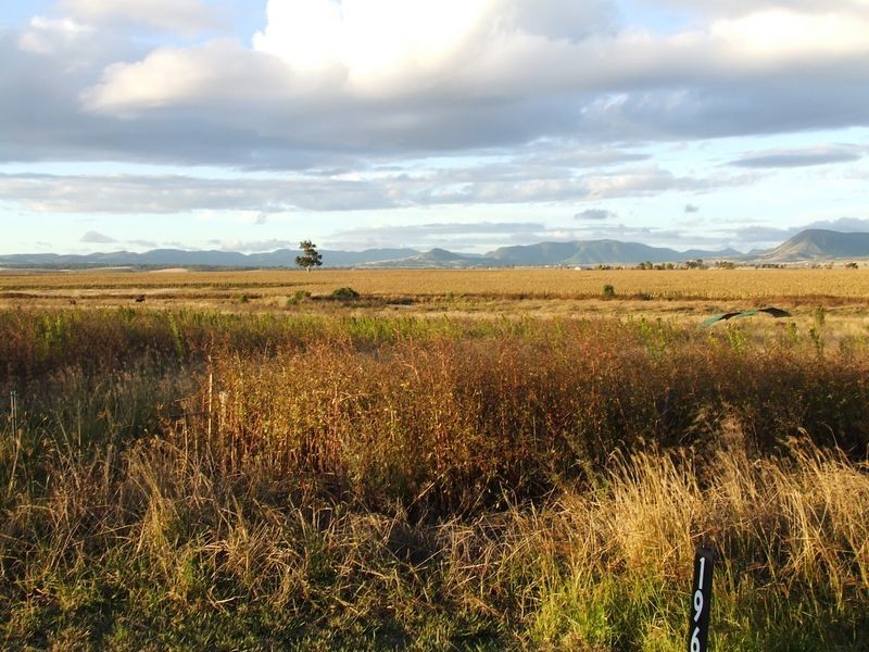 1965 Warwick-Killarney Road, Loch Lomond QLD 4370