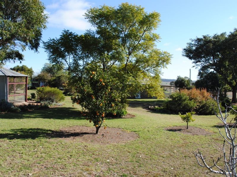 1128 Goomburra Road, Goomburra QLD 4362