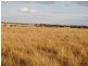 Lot 3 corn Freestone and Ogilvie Roads, Warwick QLD 4370