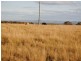 Lot 3 corn Freestone and Ogilvie Roads, Warwick QLD 4370